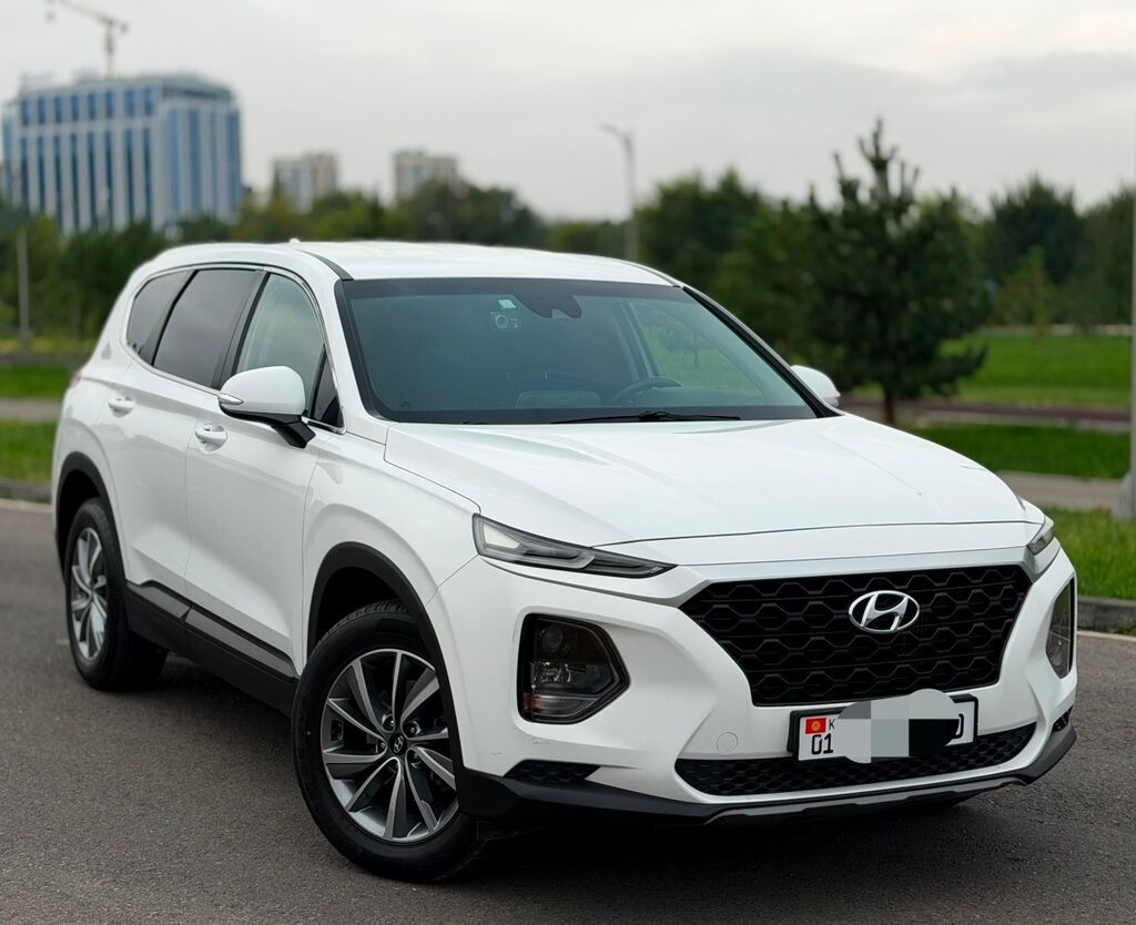 Hyundai Santa Fe: 2019 г., 2 л, Автомат, Дизель, Кроссовер: фото 4