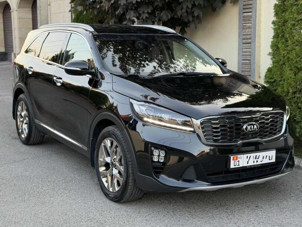 Kia Sorento: 2019 г., 2.2 л, Автомат, Дизель, Кроссовер: фото 3