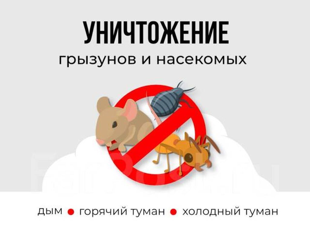 Дезинфекция, дезинсекция, | Клопы, Блохи, Тараканы, | Транспорт, Офисы, Квартиры: фото 5