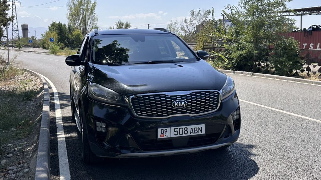 Kia Sorento: 2019 г., 2.2 л, Автомат, Дизель, Кроссовер: фото 3