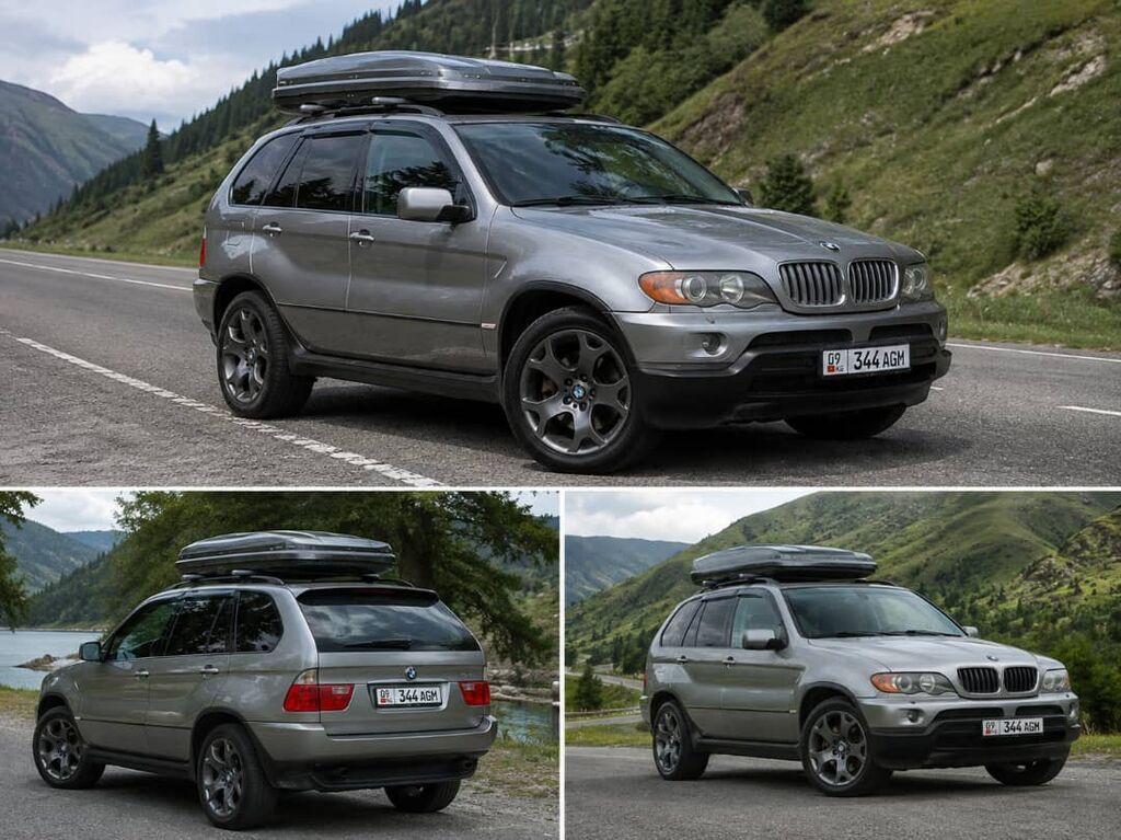 BMW X5: 2005 г., 4.4 л, Автомат, Бензин, Кроссовер: фото 2