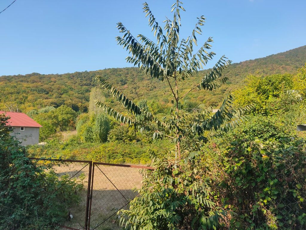 Tikinti, Mülkiyyətçi, Kupça (Çıxarış)