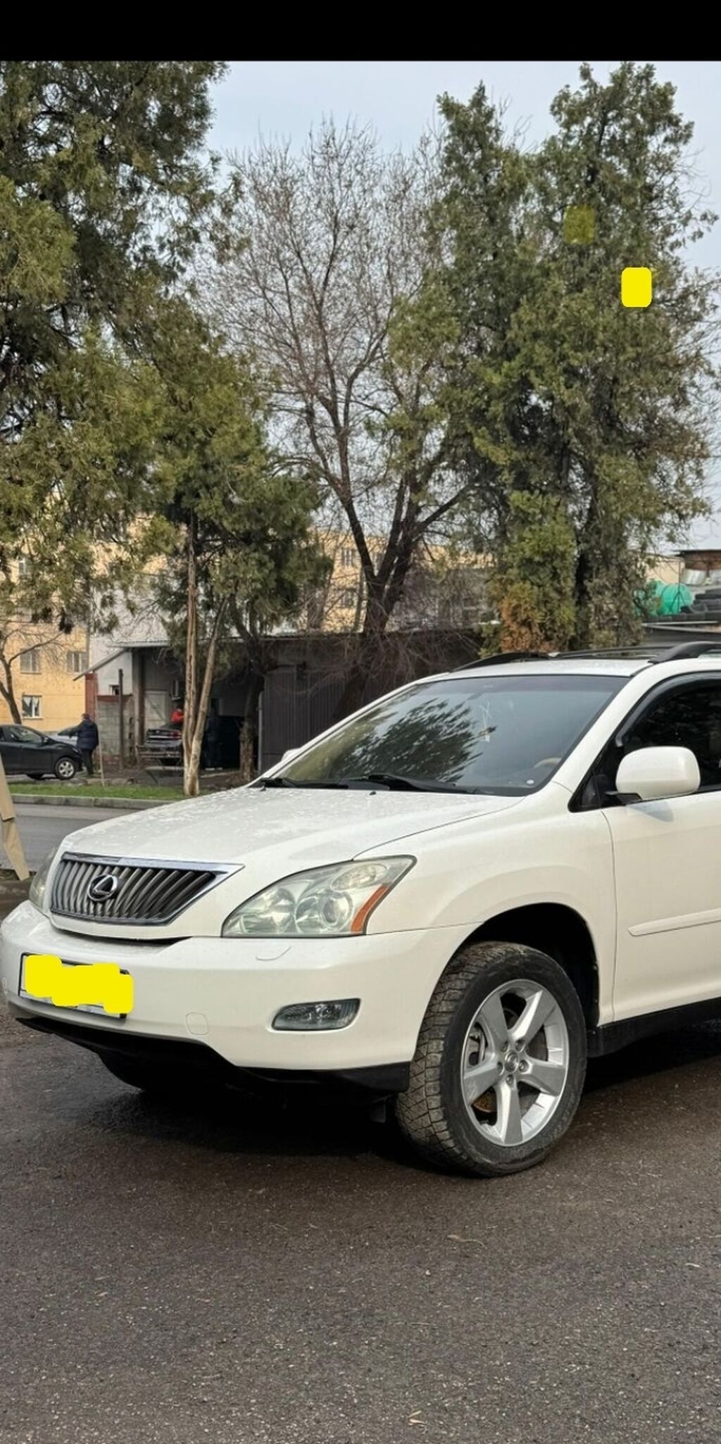 Lexus RX: 2004 г., 3.3 л, Автомат, Бензин, Кроссовер: фото 4