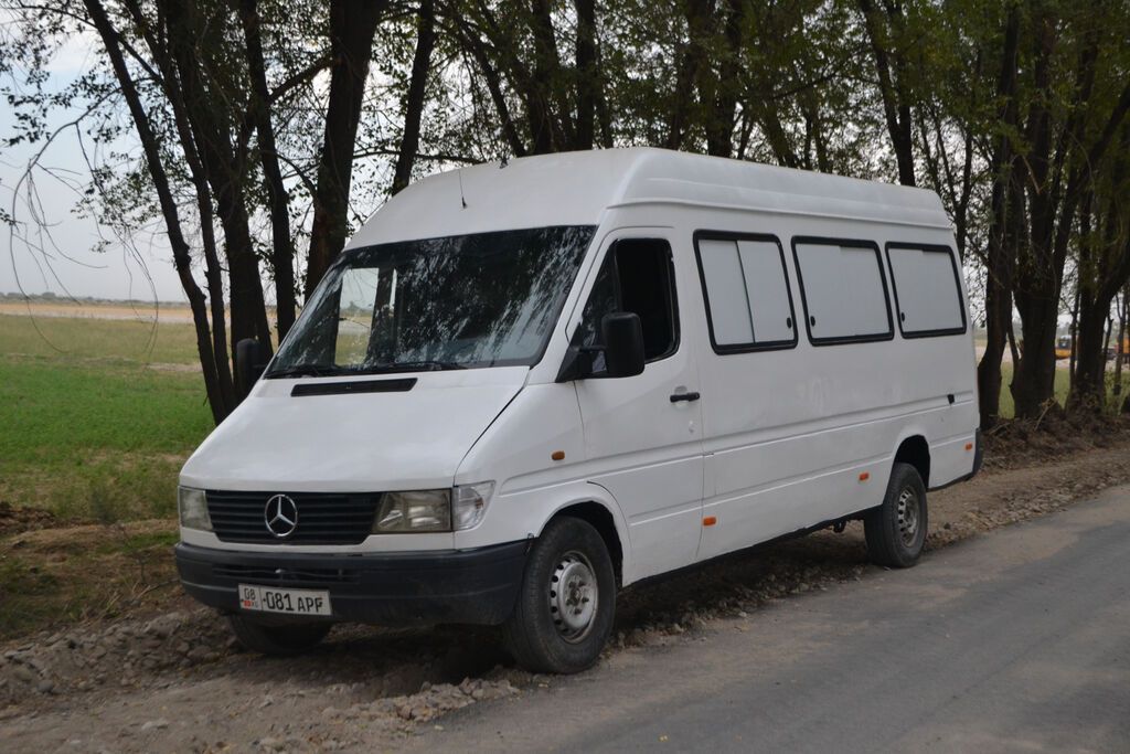 Mercedes-Benz Спринтер: 1996 г., 2.9 л, Механика, Дизель, Фургон: фото 3