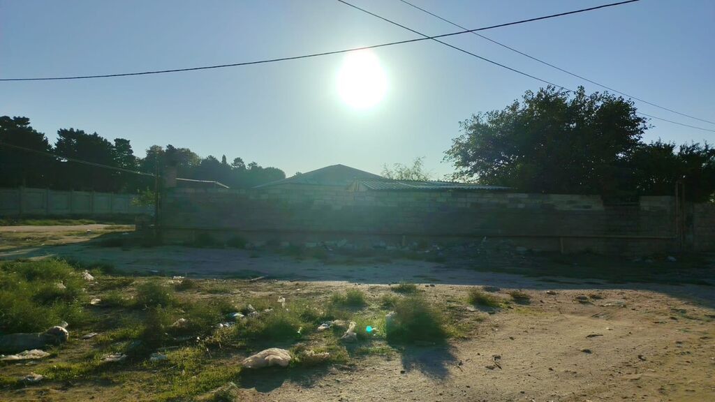 Tikinti
