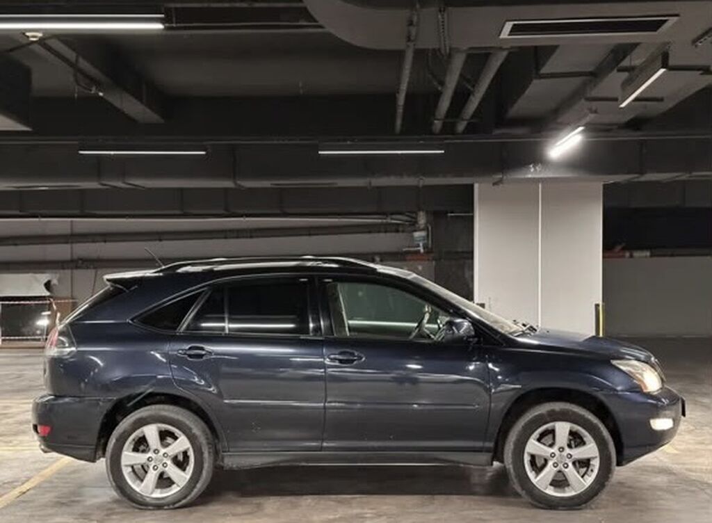 Lexus RX: 2005 г., Кроссовер: фото 8