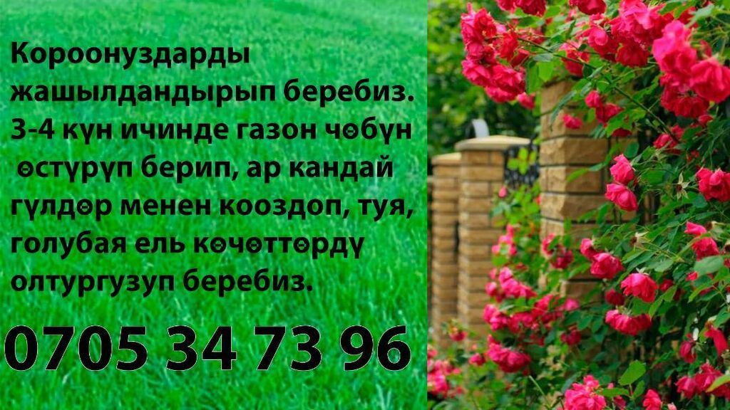 Посев газонной травы с рассрочкой и гарантией: фото 3