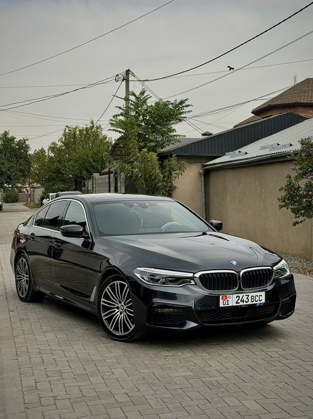 BMW 5 series: 2019 г., 2 л, Автомат, Бензин, Седан: фото 1