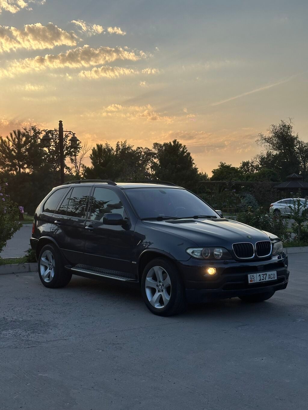 BMW X5: 2007 г., 3 л, Автомат, Дизель, Внедорожник: фото 2
