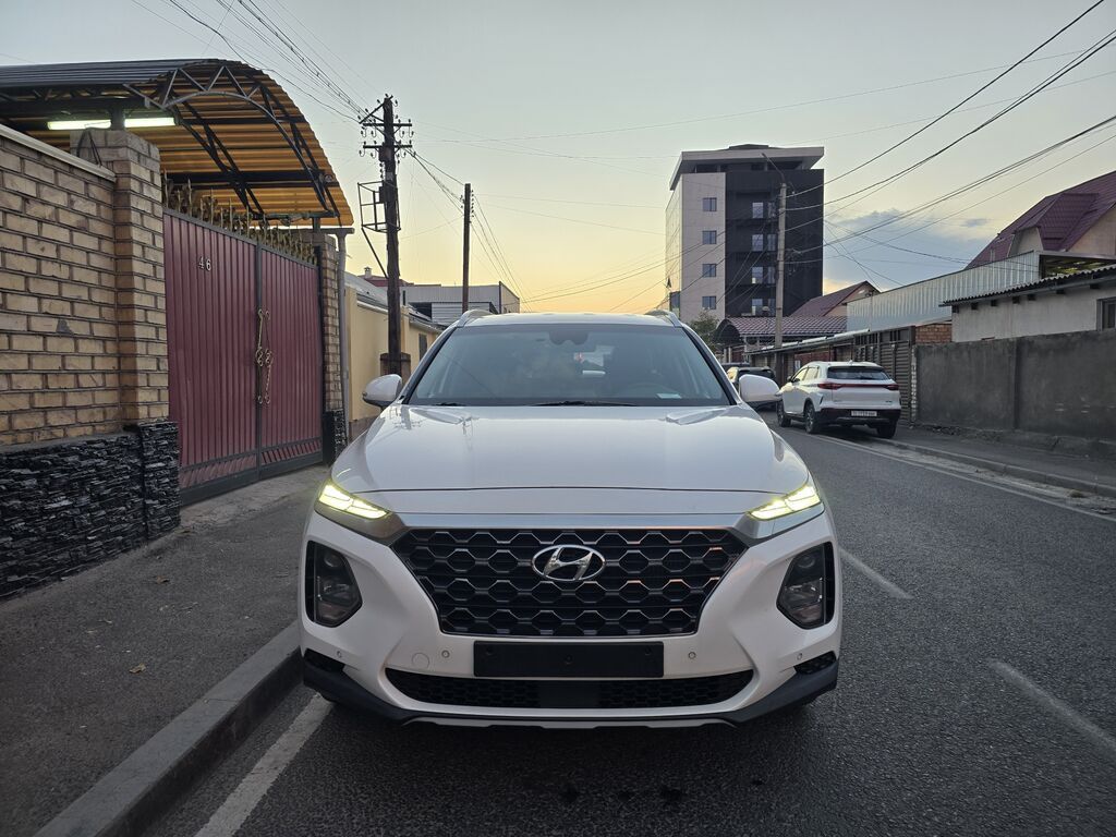 Hyundai Santa Fe: 2020 г., 2.2 л, Автомат, Дизель, Кроссовер: фото 1