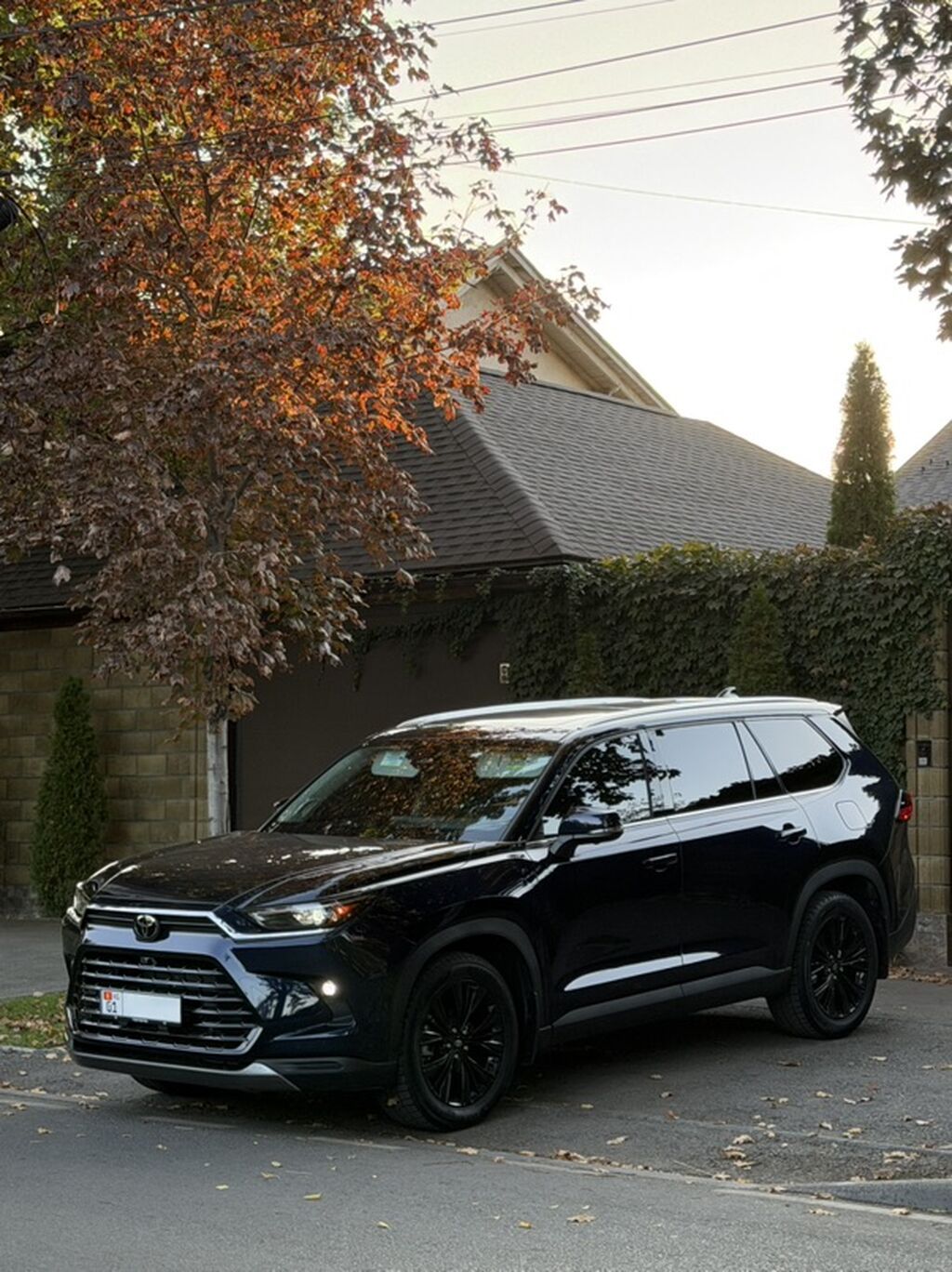 Toyota Grand Highlander: 2024 г., 2.4 л, Автомат, Бензин, Внедорожник: фото 2