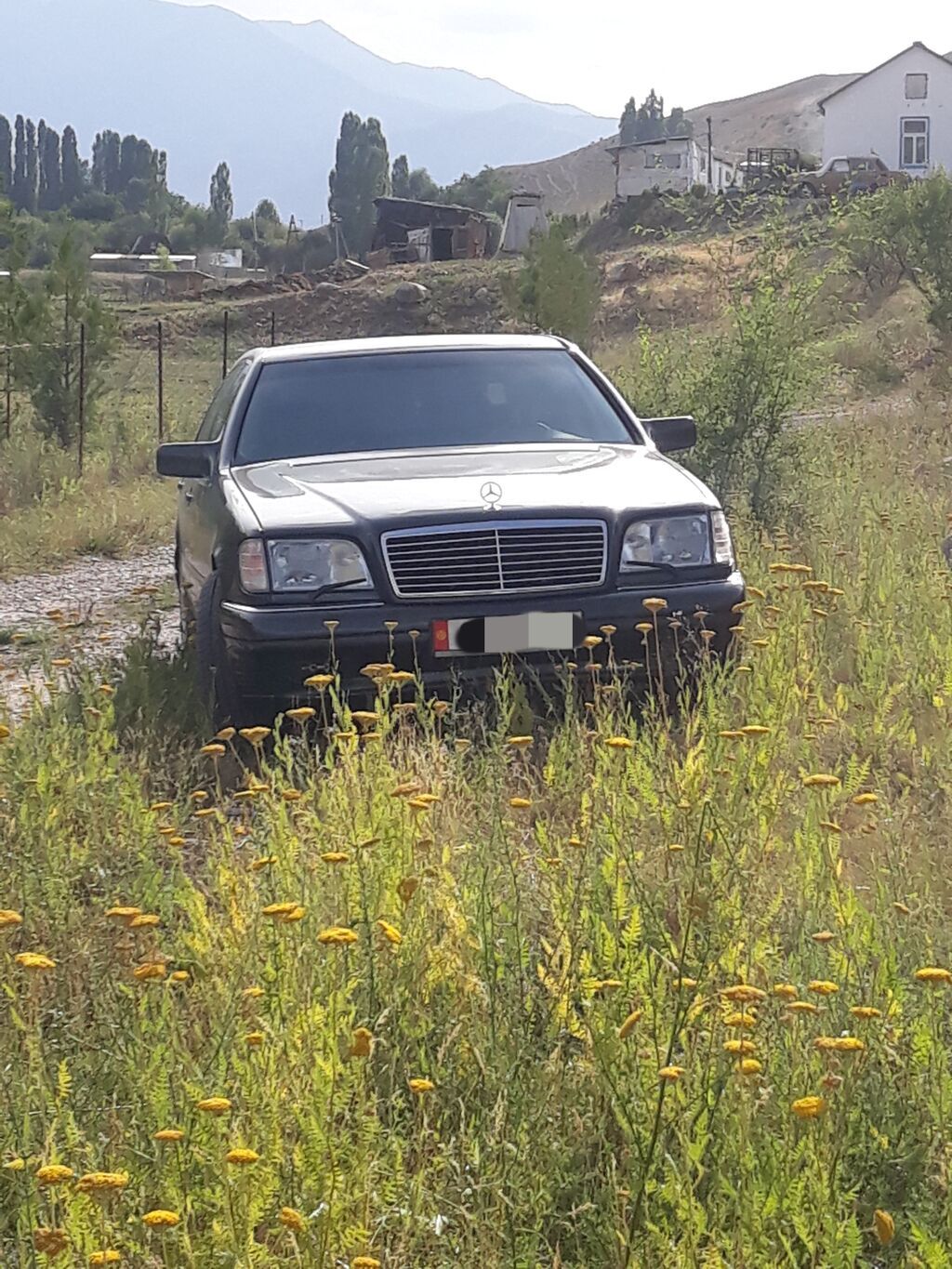 Mercedes-Benz S-Class: 1994 г., Автомат, Бензин, Седан: фото 2