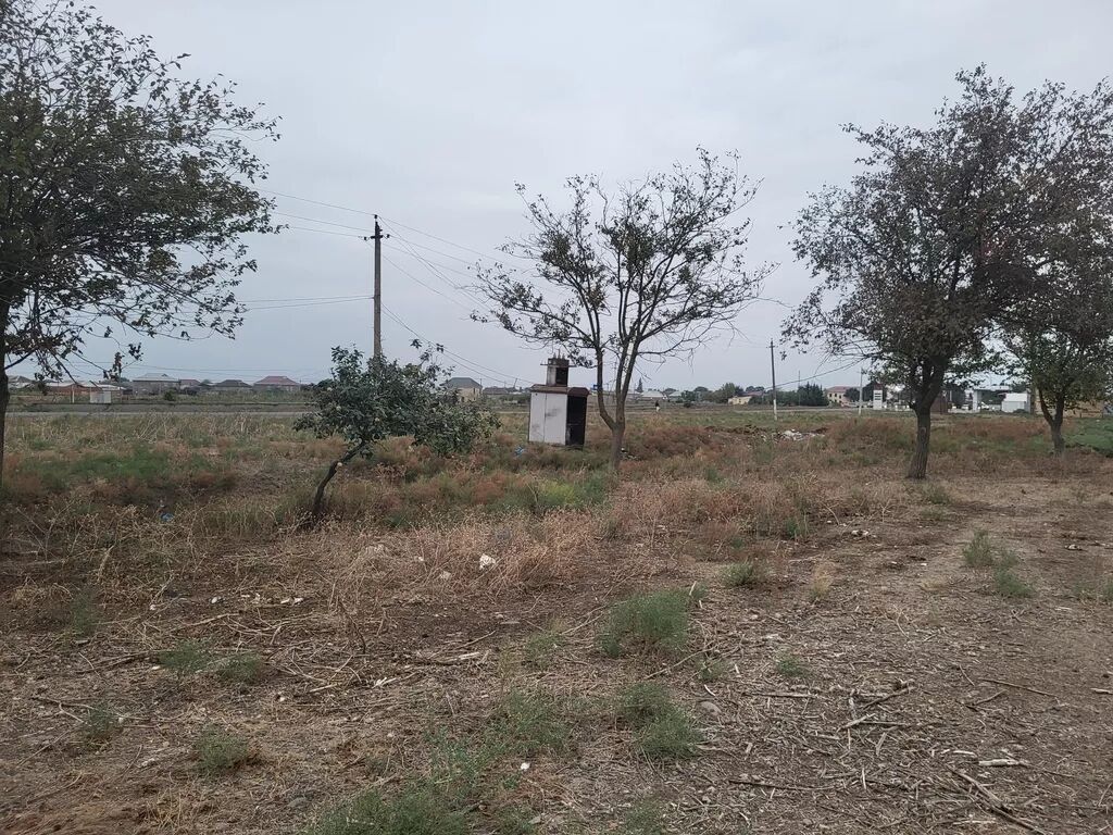 58 sot, Biznes üçün, Kupça (Çıxarış)