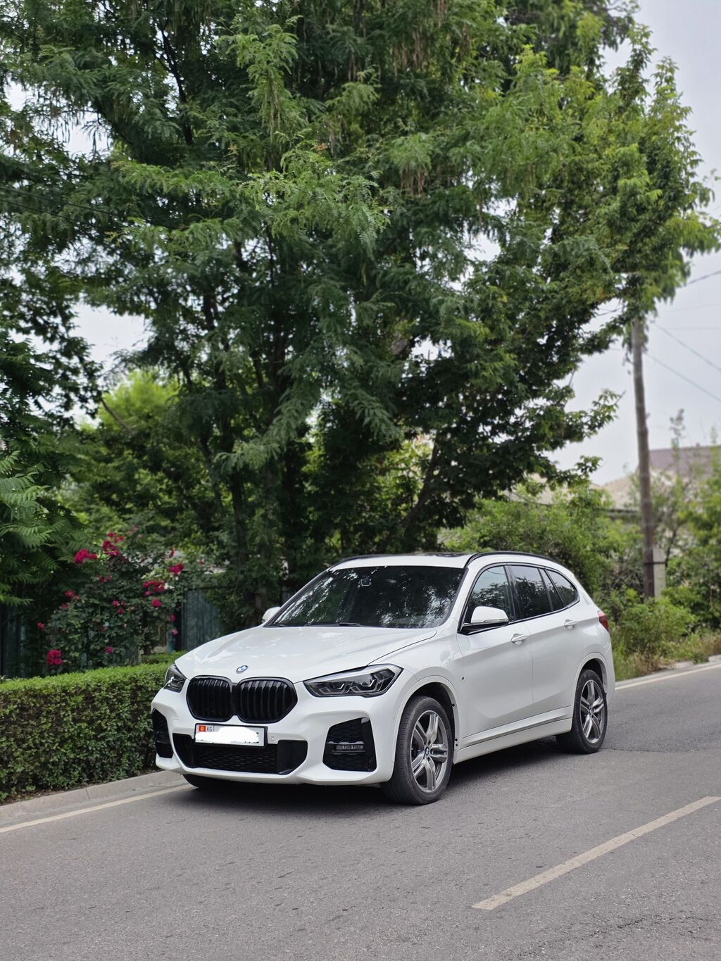 BMW X1: 2020 г., 2 л, Автомат, Дизель, Кроссовер: фото 1
