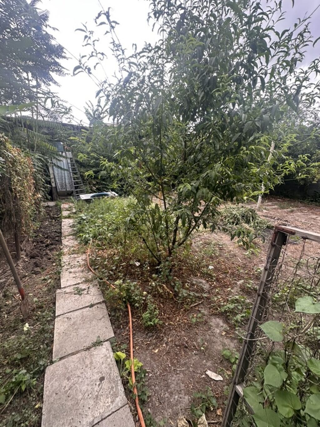Продам дом с участком по красной книге-5,6 по факту 7,9 соток. Дом: фото 4
