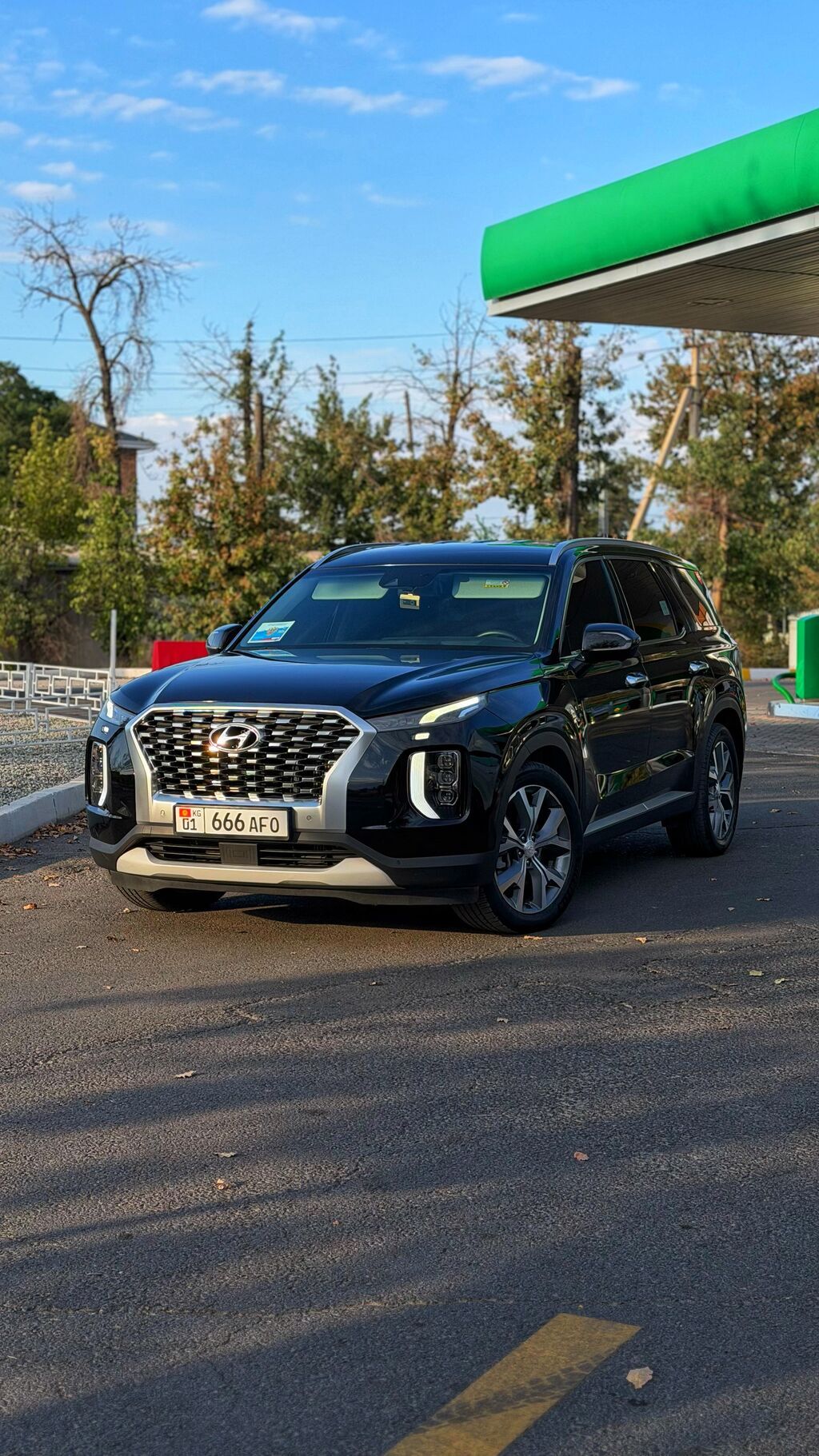 Hyundai Palisade: 2020 г., 2.2 л, Автомат, Дизель, Внедорожник: фото 6