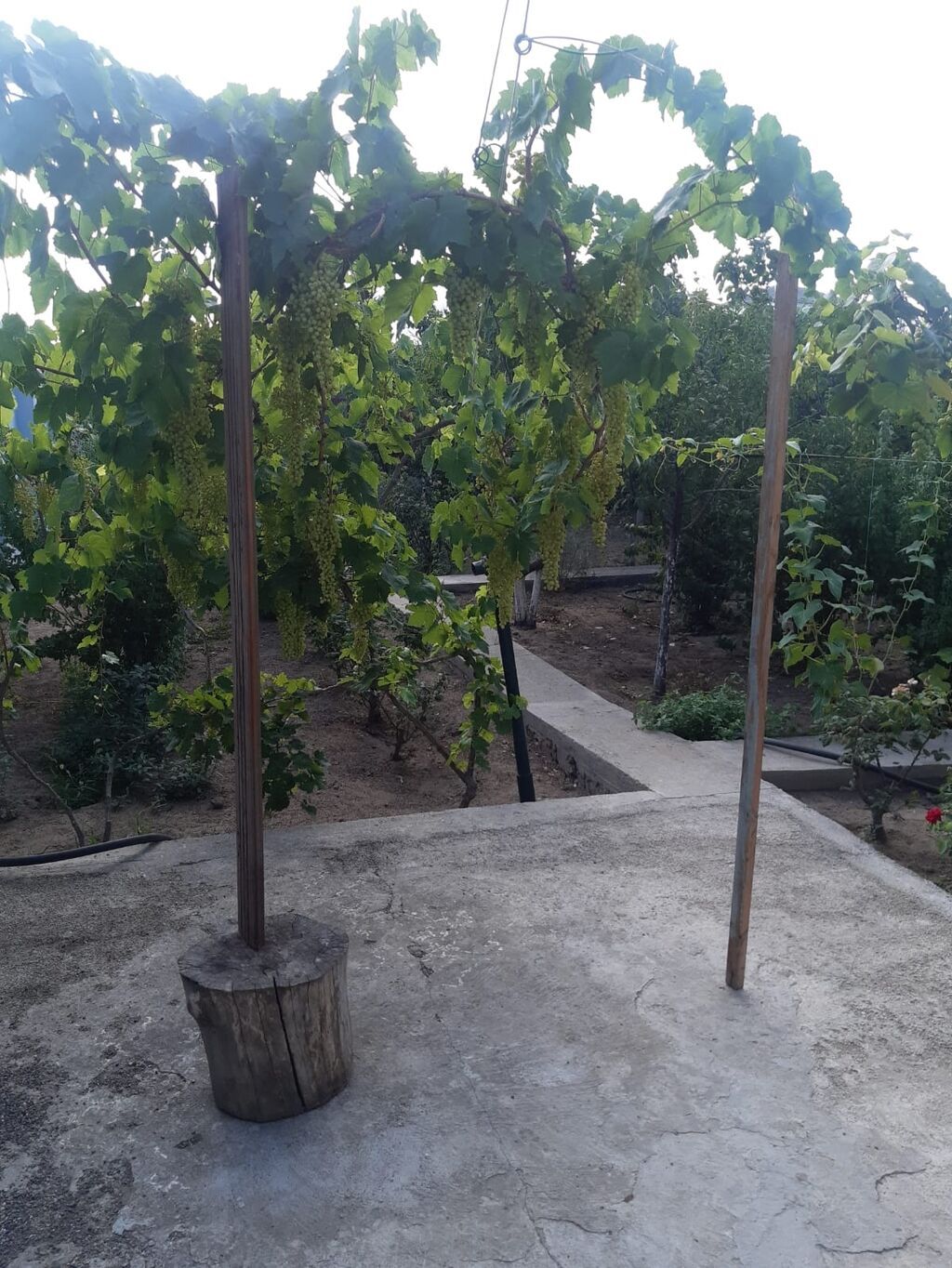Albalı 7 otaqlı, 220 kv. m, Kredit yoxdur, Yeni təmirli