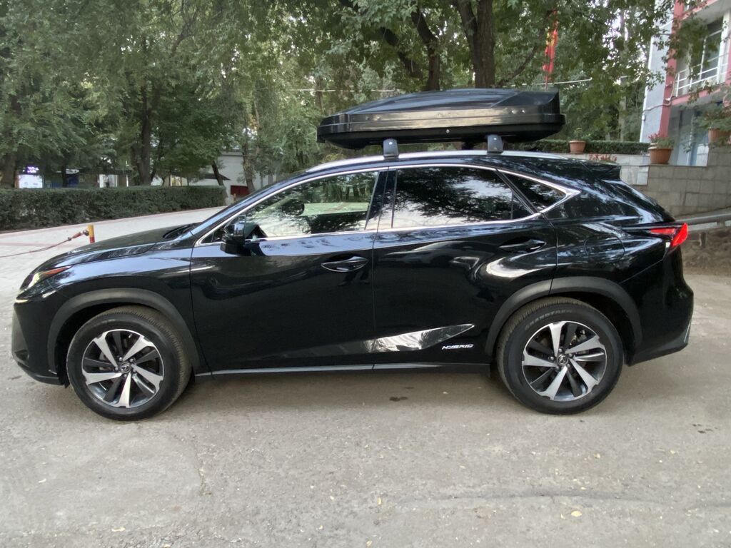Lexus NX: 2018 г., 2.5 л, Автомат, Бензин, Кроссовер: фото 3