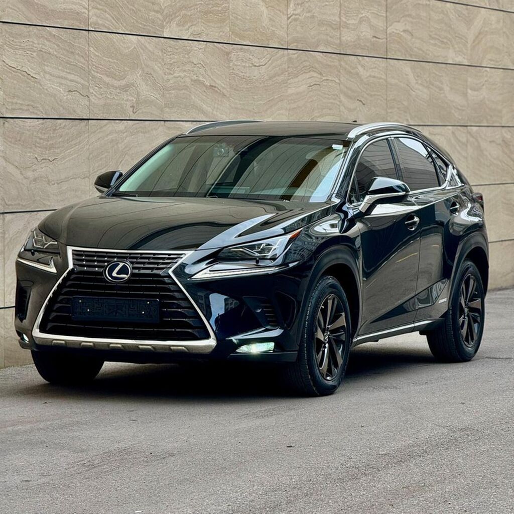 Lexus NX: 2018 г., 2.5 л, Вариатор, Гибрид, Кроссовер: фото 3