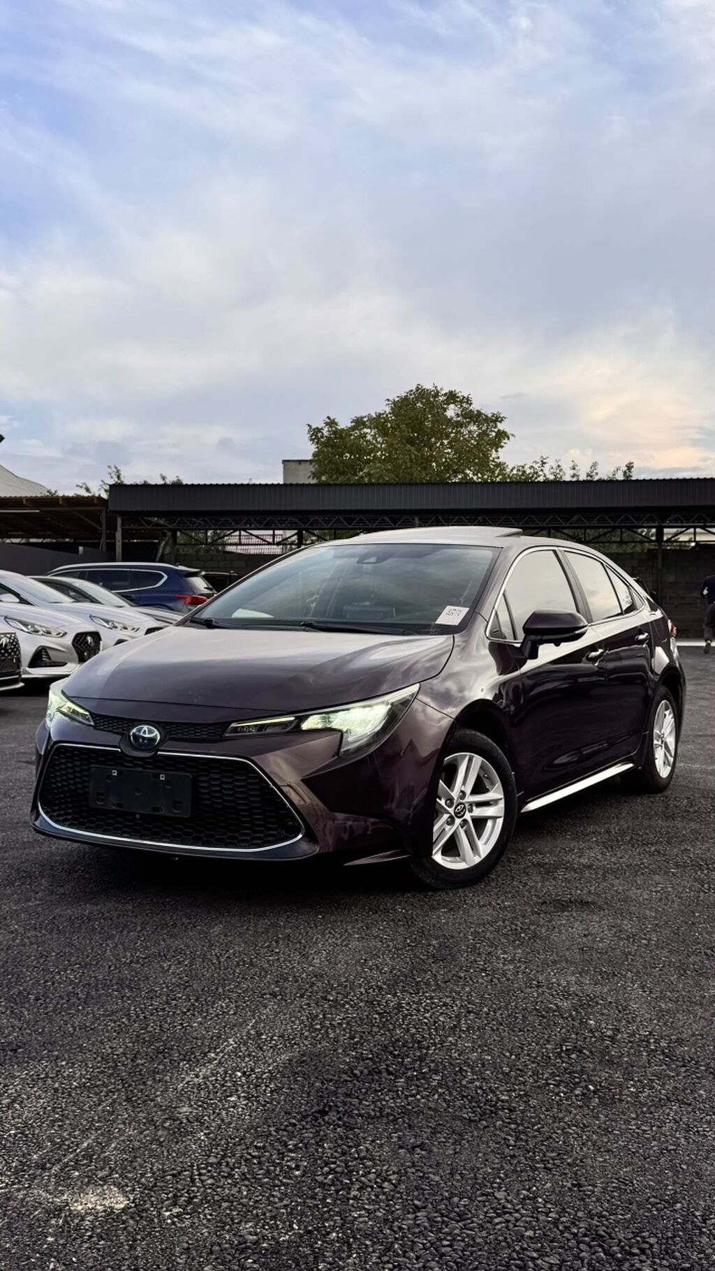 Toyota Levin: 2020 г., 1.8 л, Гибрид, Седан: фото 1