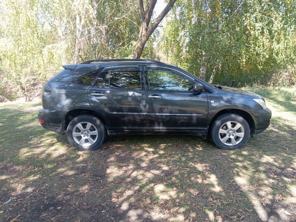 Lexus RX: 2007 г., Кроссовер: фото 2