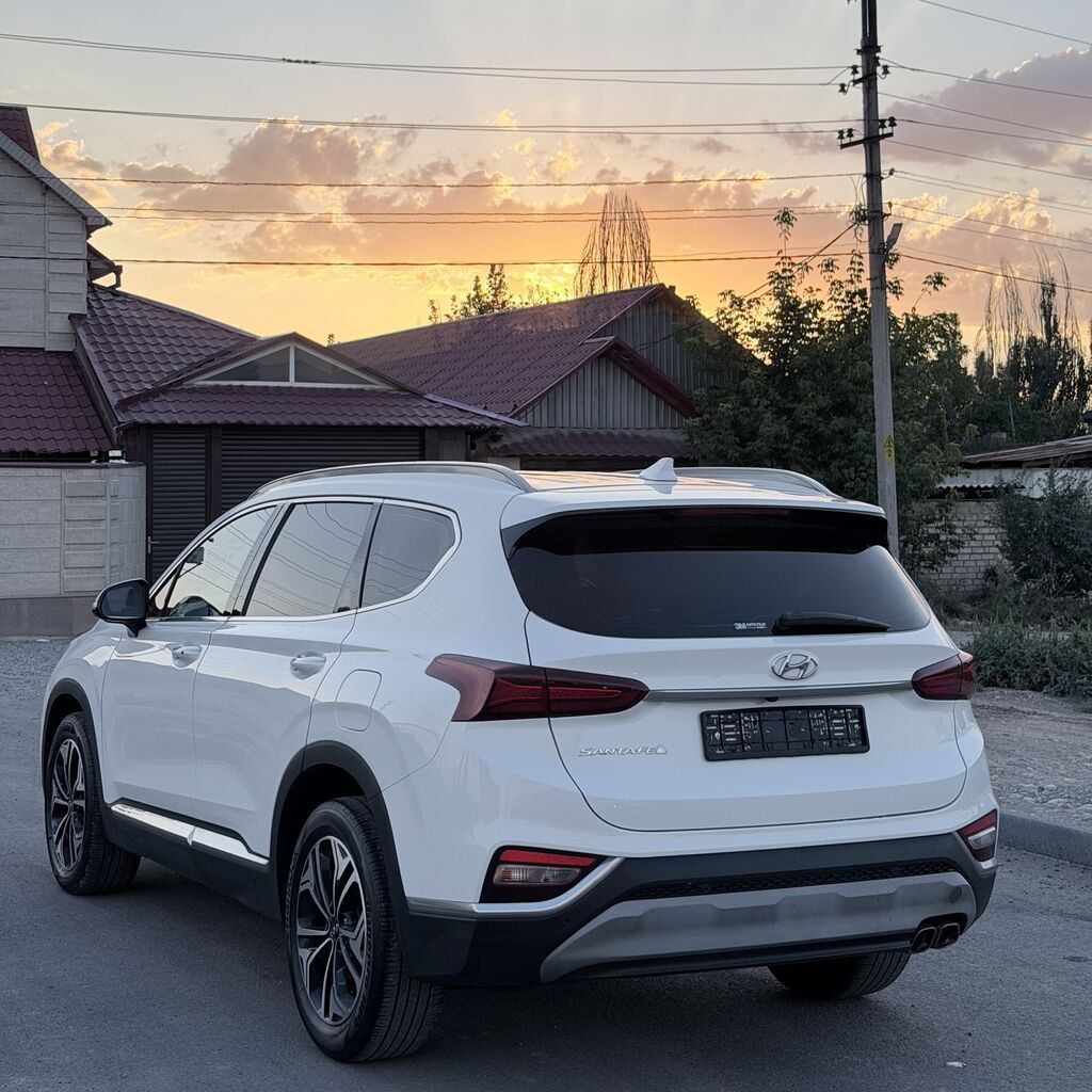 Hyundai Santa Fe: 2019 г., 2 л, Автомат, Дизель, Кроссовер — фото 4