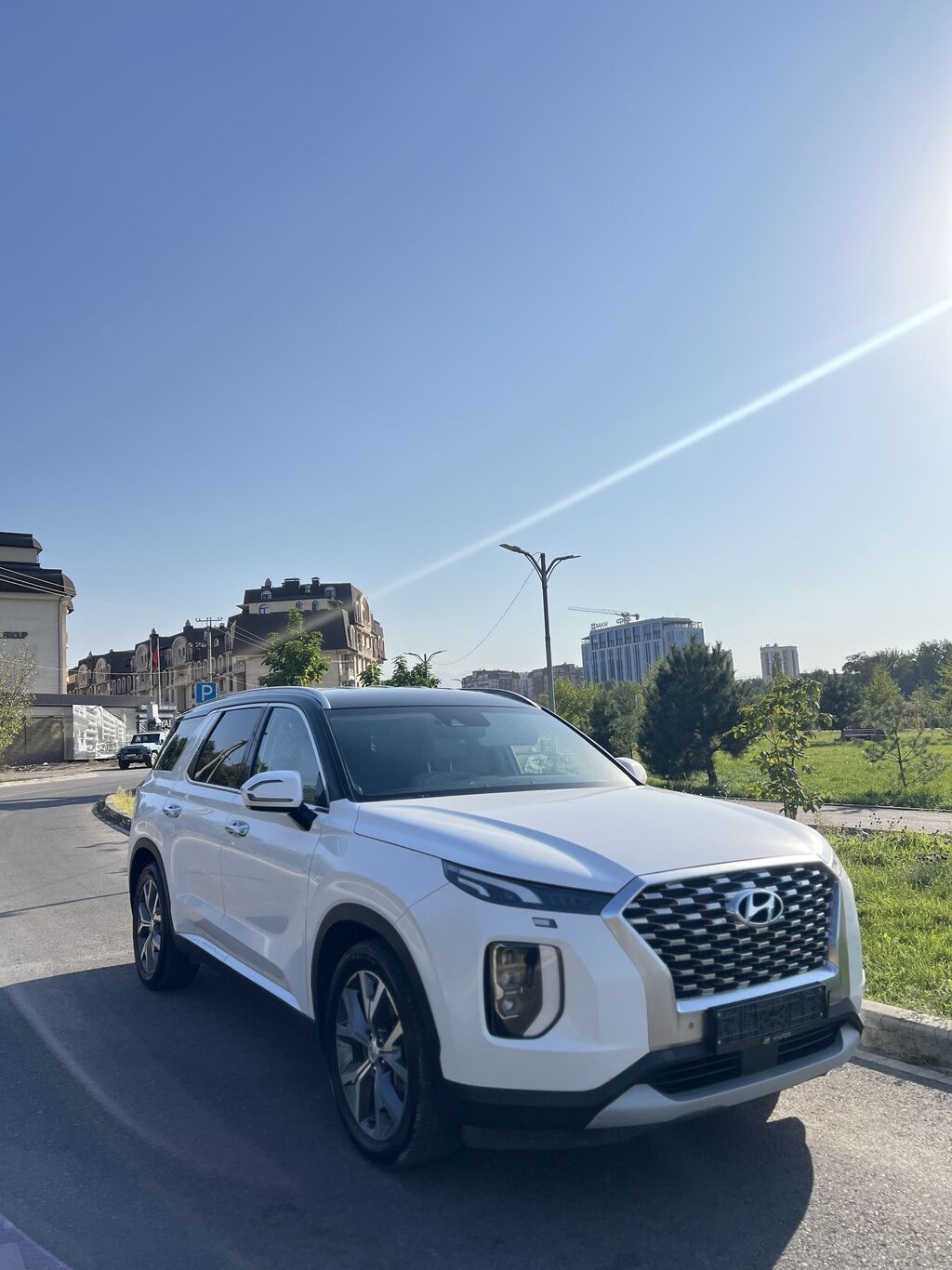 Hyundai Palisade: 2019 г., 2.2 л, Автомат, Дизель, Кроссовер: фото 6
