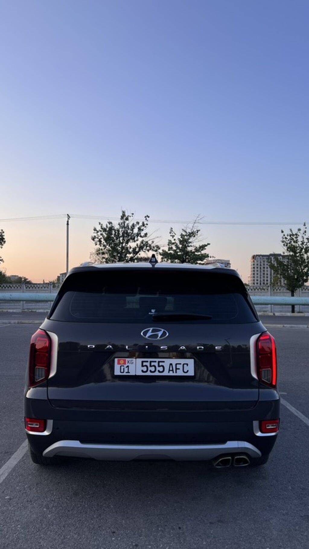 Hyundai Palisade: 2020 г., 2.2 л, Автомат, Дизель, Кроссовер: фото 4