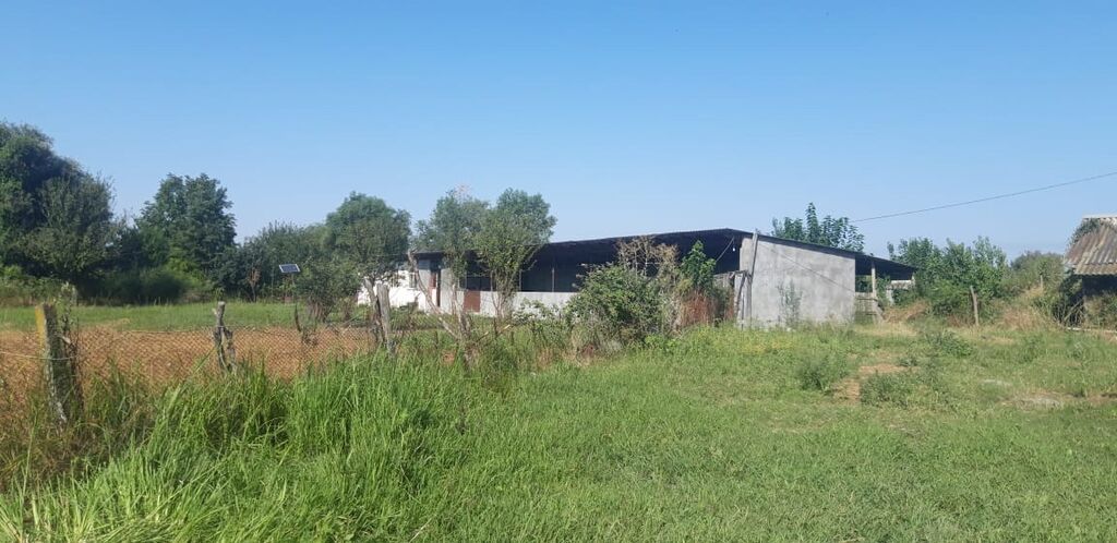 Heyvandarlıq üçün ferma binası - Dəyərindən qat qat az məbləğə TƏCİLİ