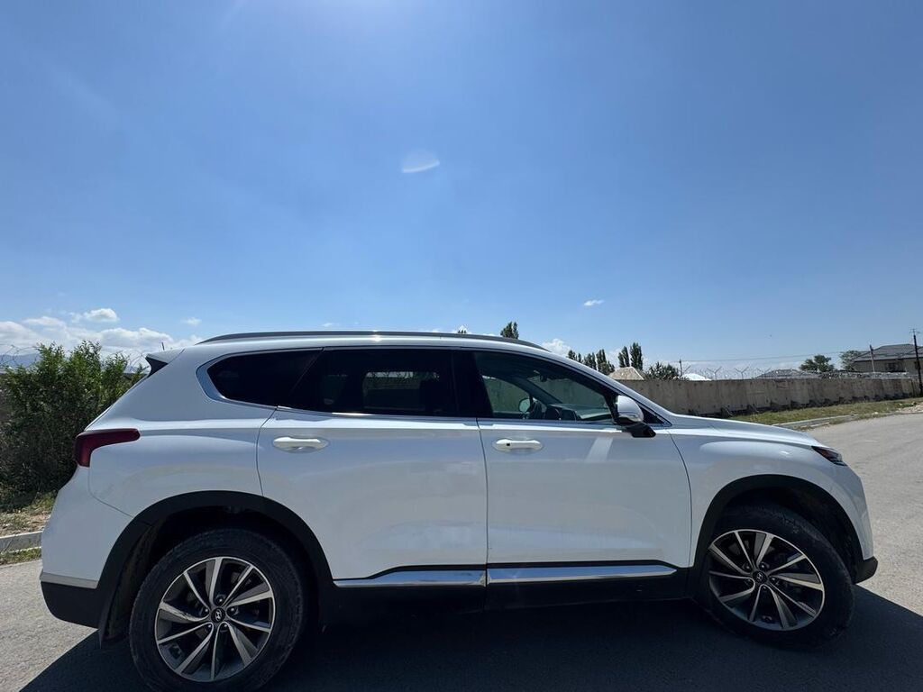 Hyundai Santa Fe: 2019 г., 2.4 л, Автомат, Бензин, Кроссовер: фото 3