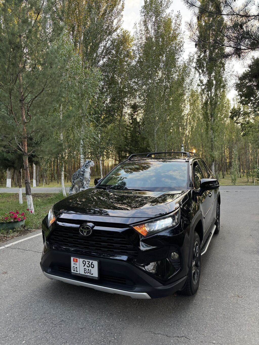 Toyota RAV4: 2020 г., 2.5 л, Автомат, Бензин, Кроссовер: фото 3