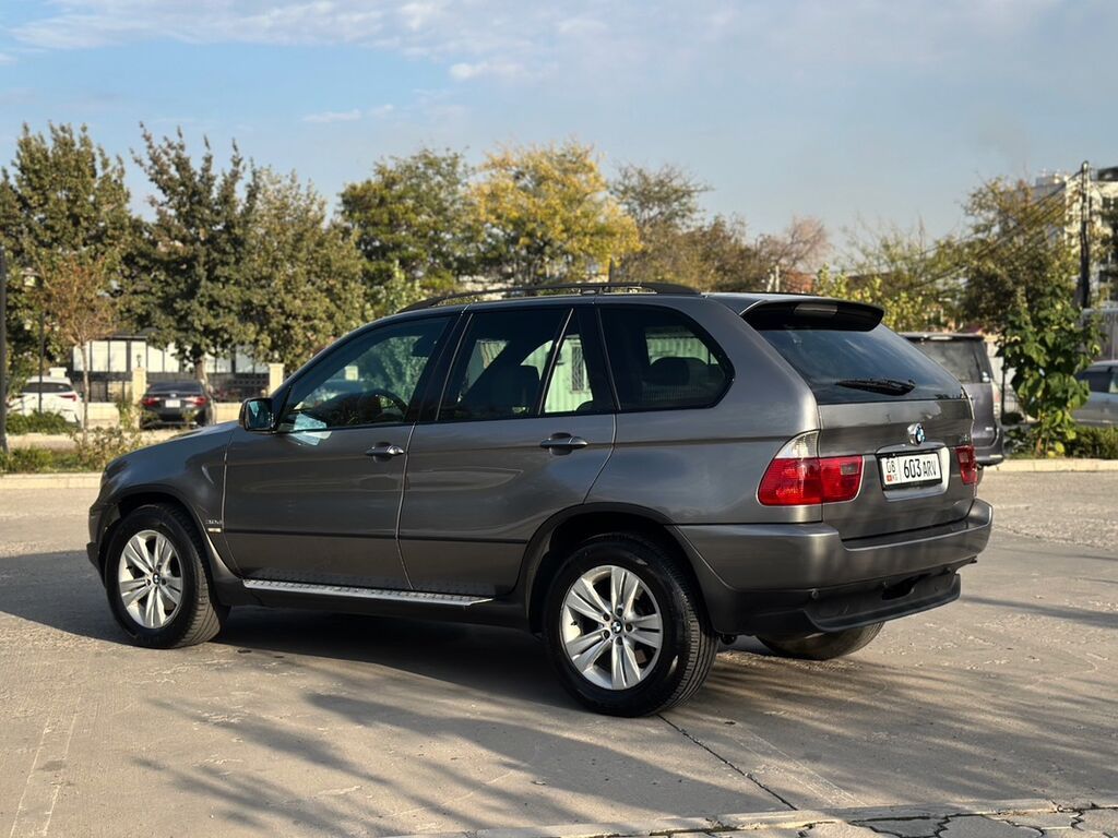 BMW X5: 2004 г., 3 л, Автомат, Бензин, Кроссовер: фото 6