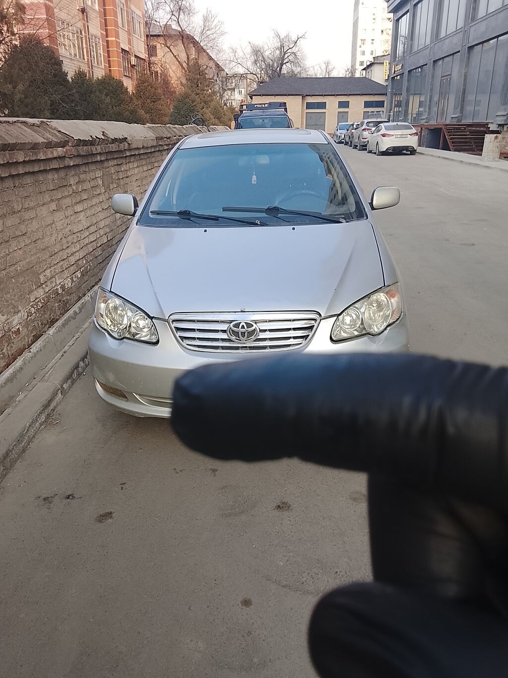 Toyota Corolla: 2008 г., 1.6 л, Механика, Бензин, Седан: фото 3
