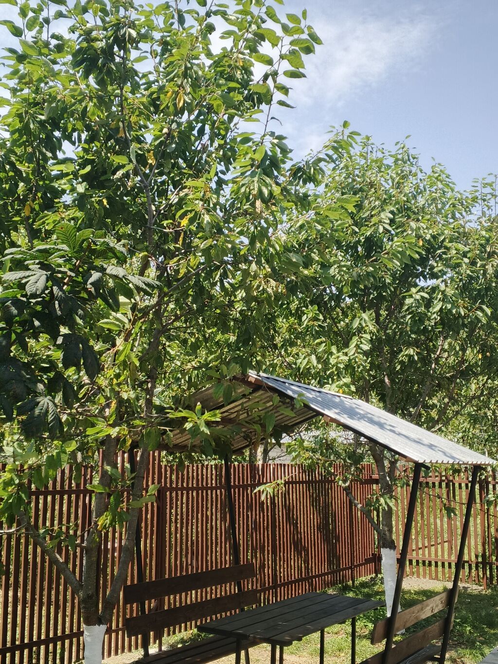75 kv. m, 2 otaqlı, Hovuzsuz, İşıq