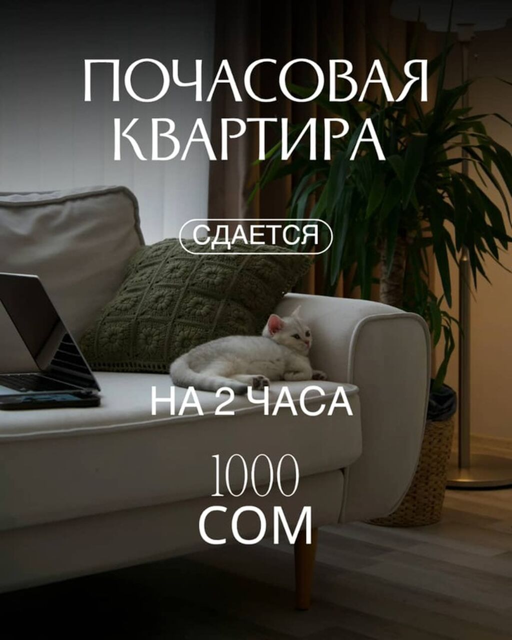 Квартира почасово | Джал | Уютно, чисто, конфиденциально Сдаётся, фото 1
