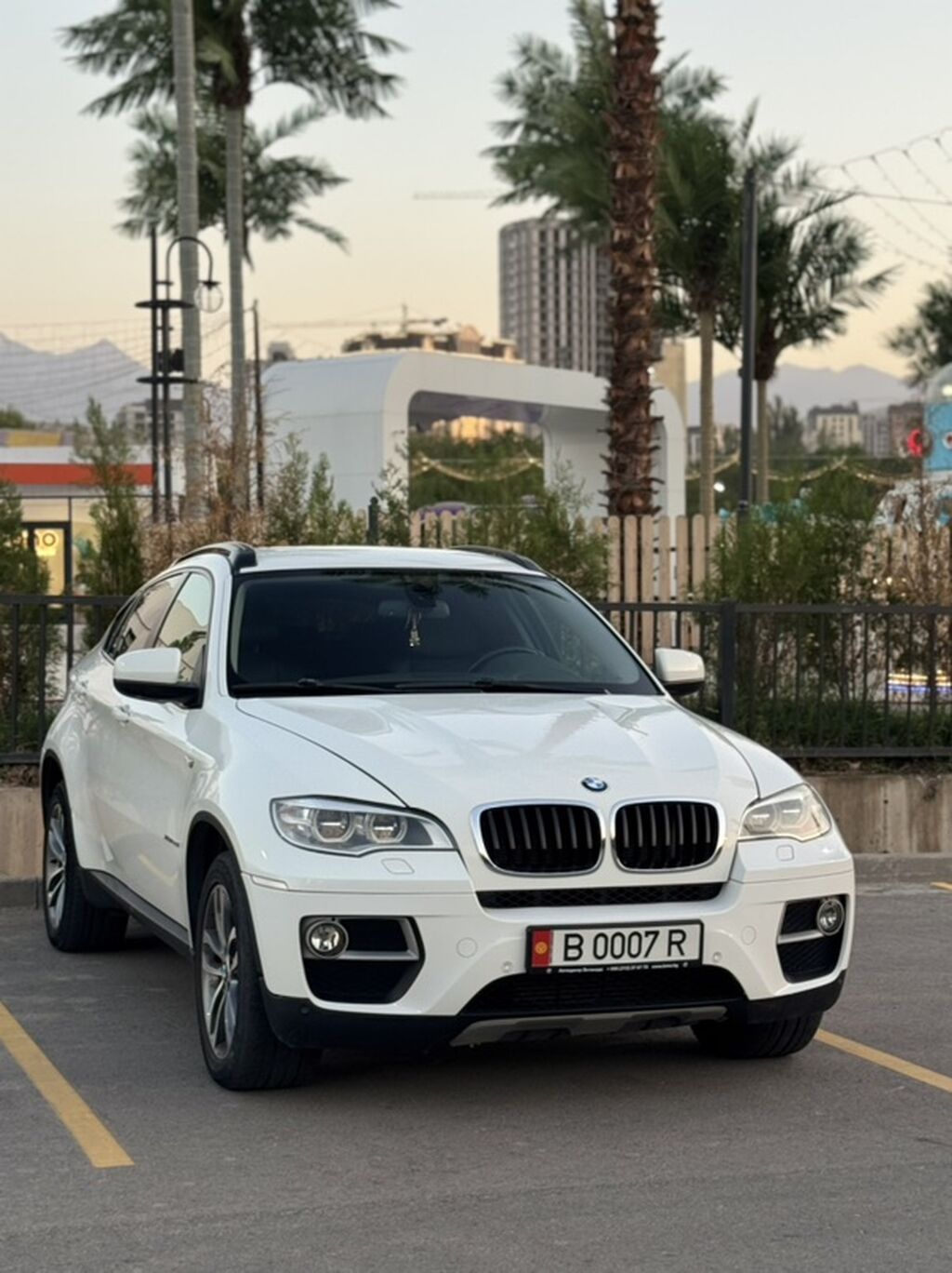 BMW X6: 2013 г., 3 л, Автомат, Бензин, Кроссовер: фото 1