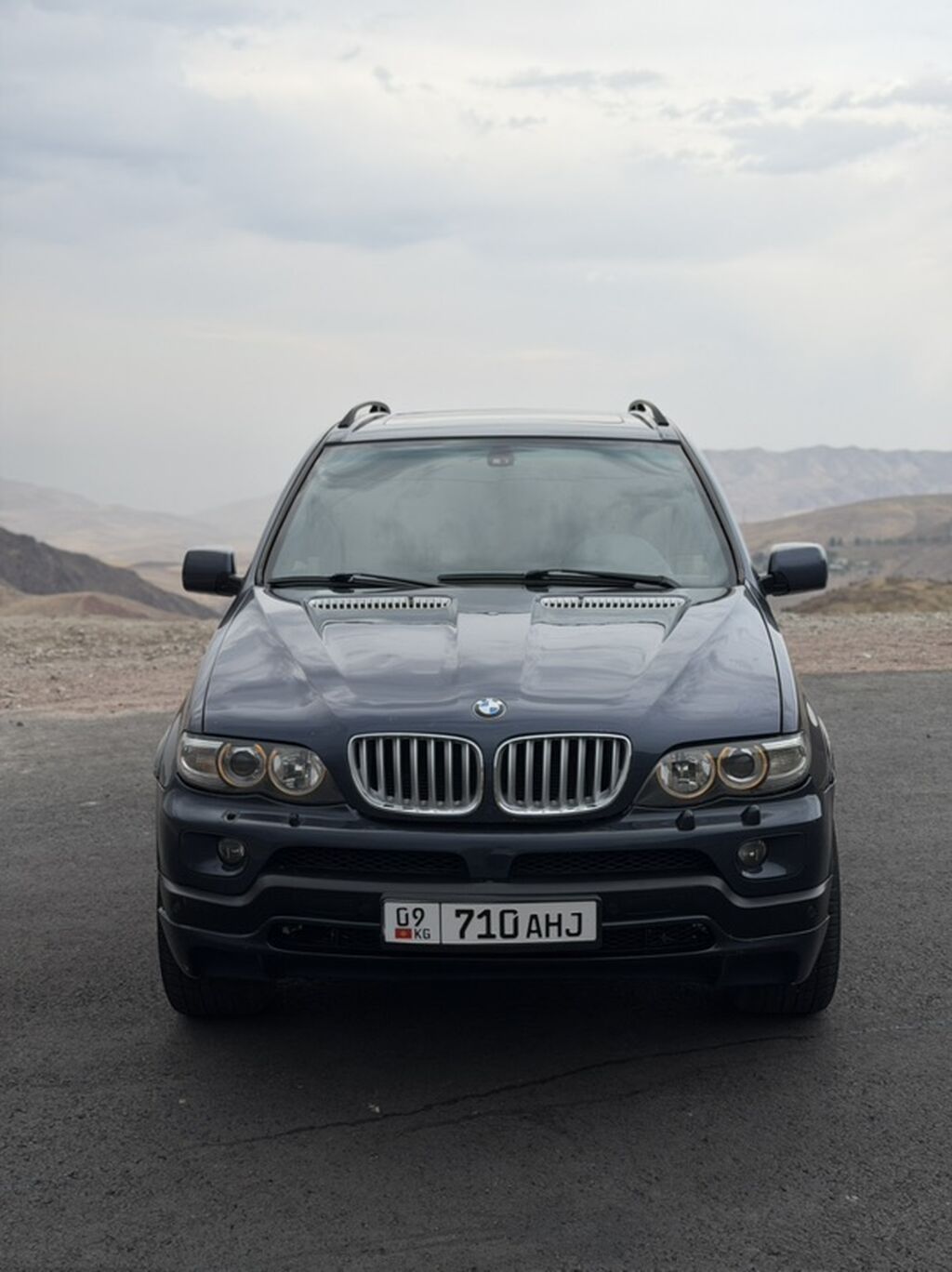 BMW X5: 2004 г., 4.4 л, Автомат, Бензин, Кроссовер: фото 2