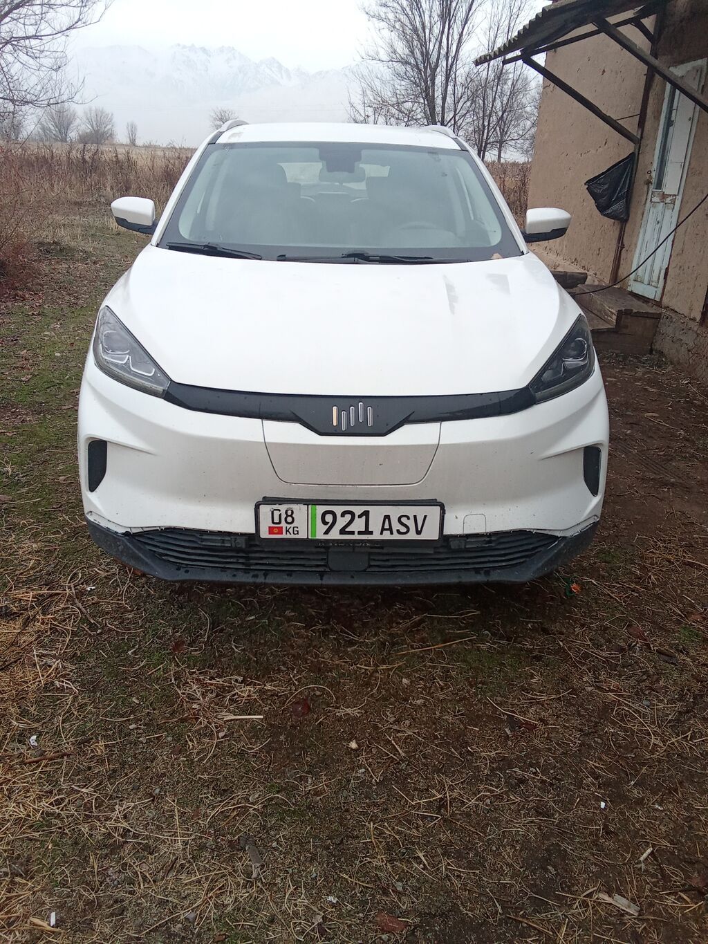 JMEV EX5: 2021 г., 0.4 л, Автомат, Электромобиль, Кроссовер: фото 4