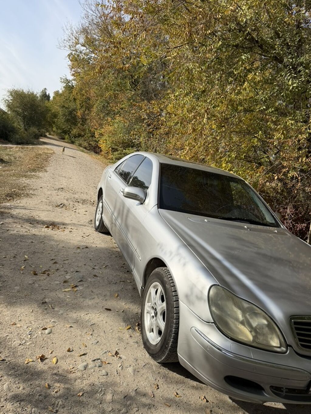 Mercedes-Benz S-Class: 1999 г., Седан: фото 7