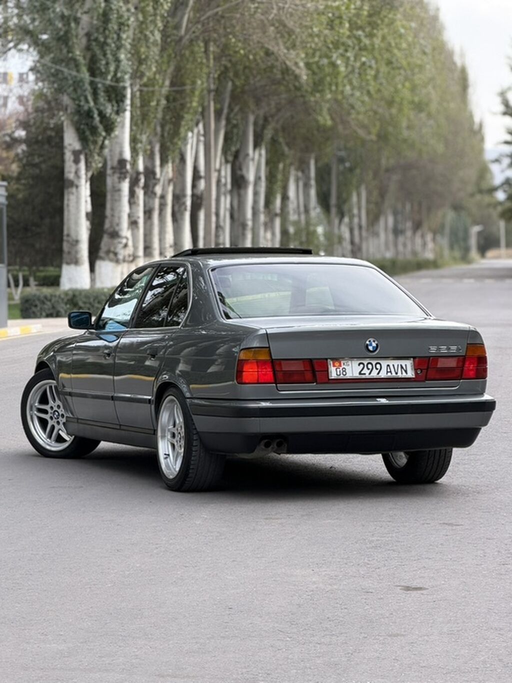 BMW 5 series: 1991 г., 2.5 л, Механика, Бензин, Седан: фото 2