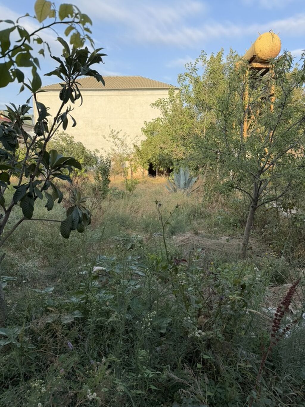 Novxanıda elit məhlədə hovuzlu ev kirayə verirəm. İki mətbəx, 3 otaq