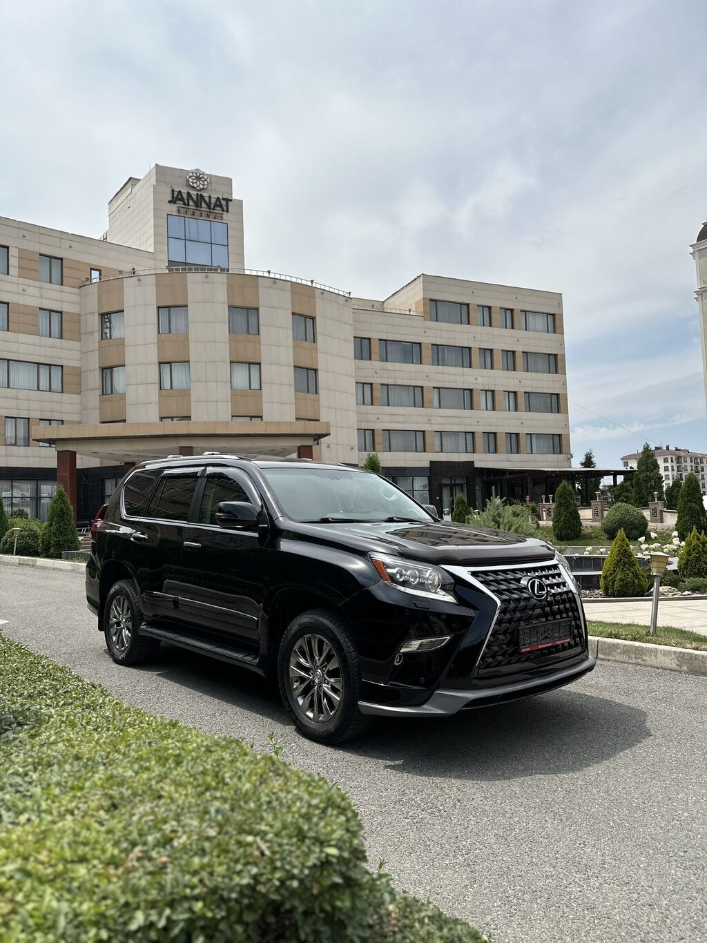 Lexus GX: 2010 г., 4.6 л, Автомат, Бензин: фото 2