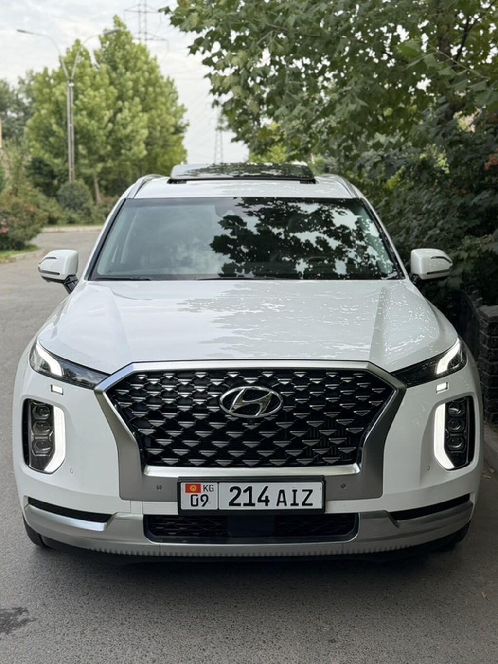 Hyundai Palisade: 2020 г., 2.2 л, Автомат, Дизель, Кроссовер: фото 5