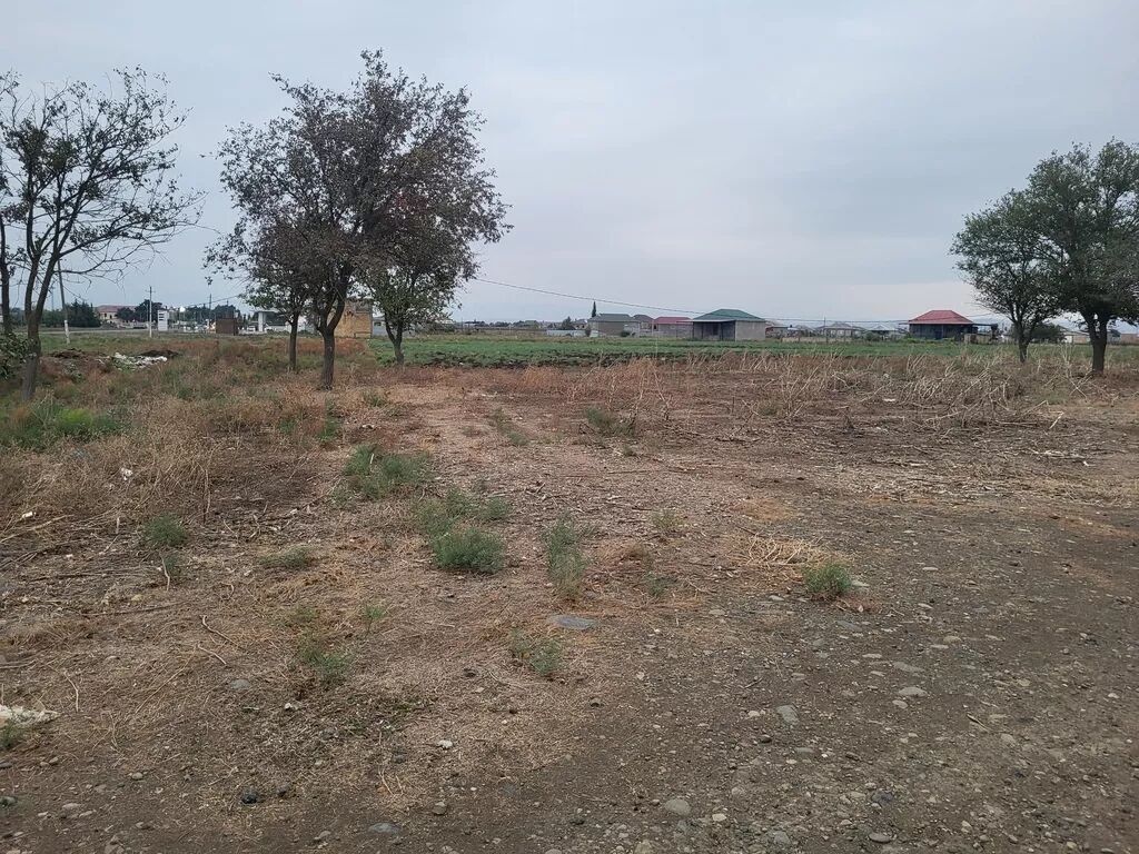 58 sot, Biznes üçün, Kupça (Çıxarış)