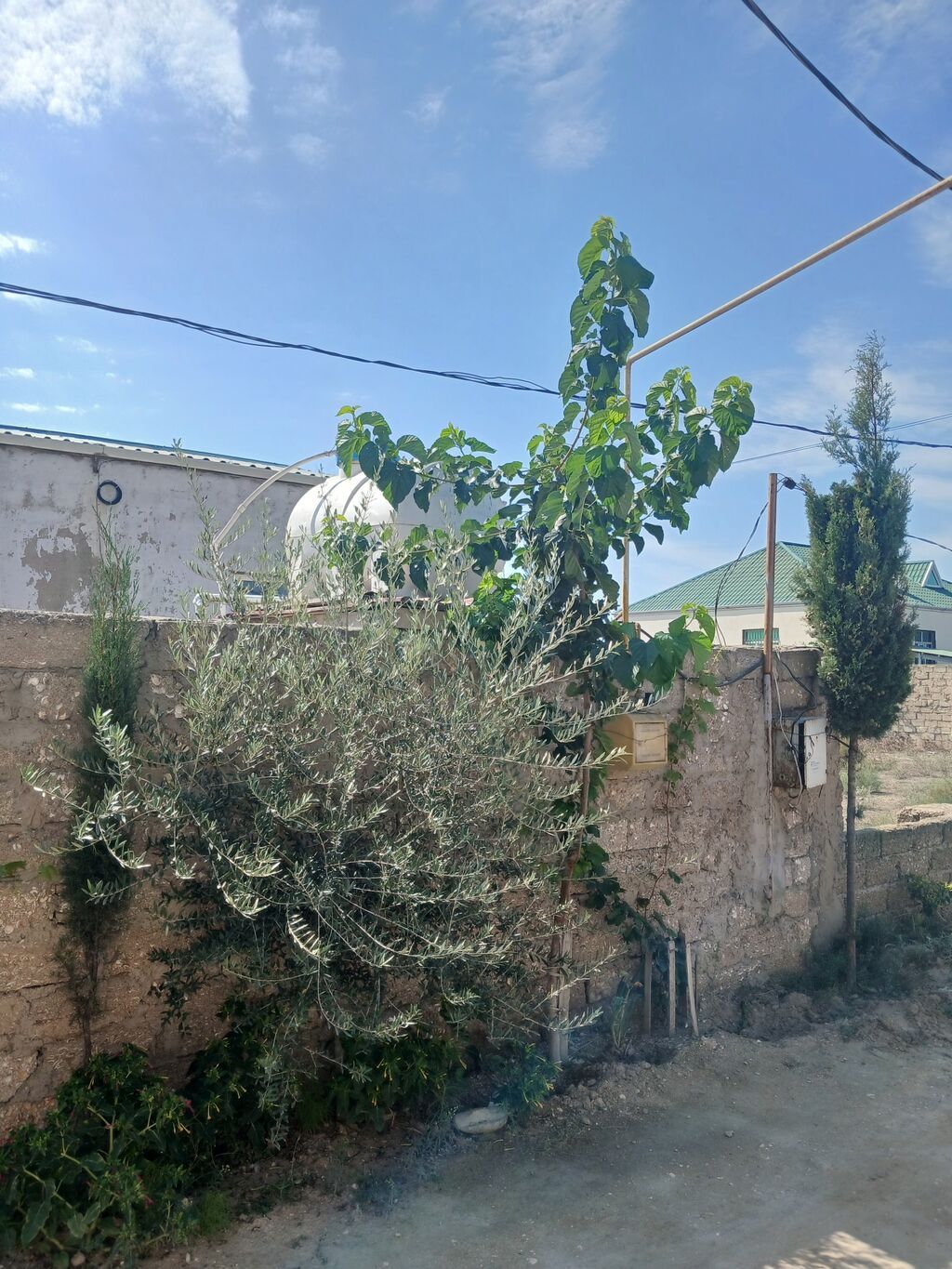 Həyətyanı sahəli həyət evi 2. Təsvir: - Daş hasarla əhatələnmiş