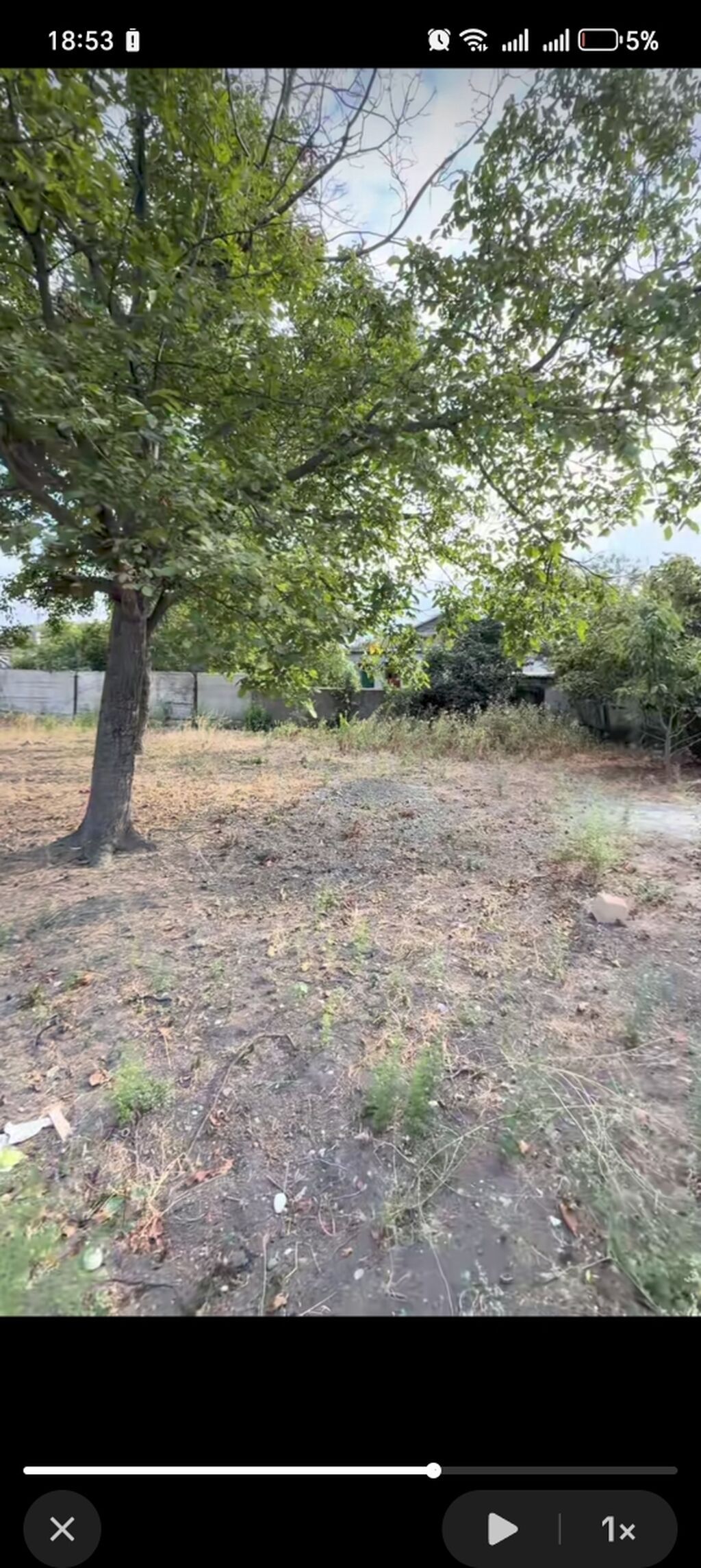10 sot, Tikinti, Barter mümkündür, Kupça (Çıxarış)