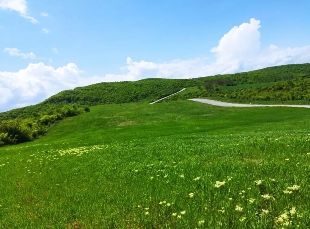 524 sot, Biznes üçün, Barter mümkündür, Kupça (Çıxarış)