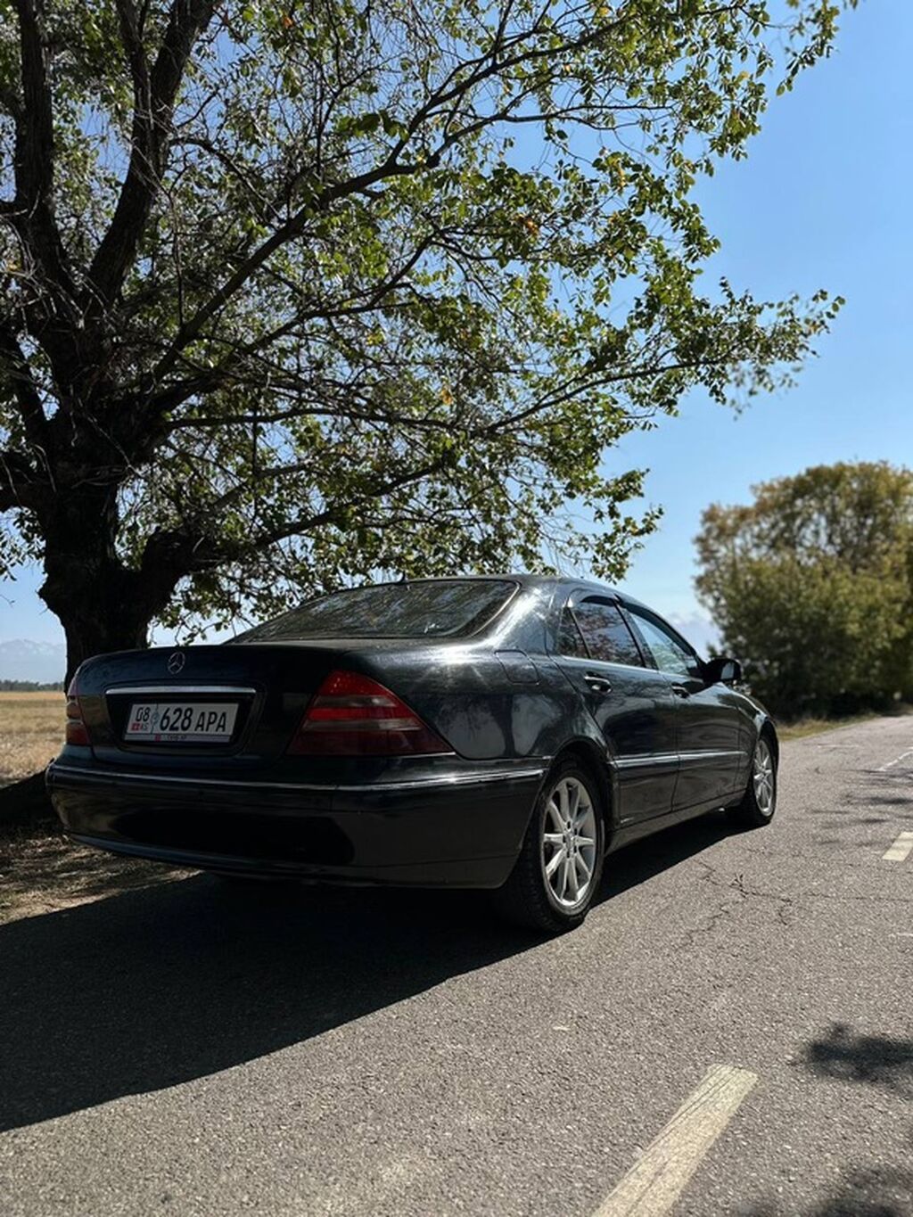 Mercedes-Benz S-Class: 2001 г., 4.3 л, Автомат, Газ, Седан: фото 8