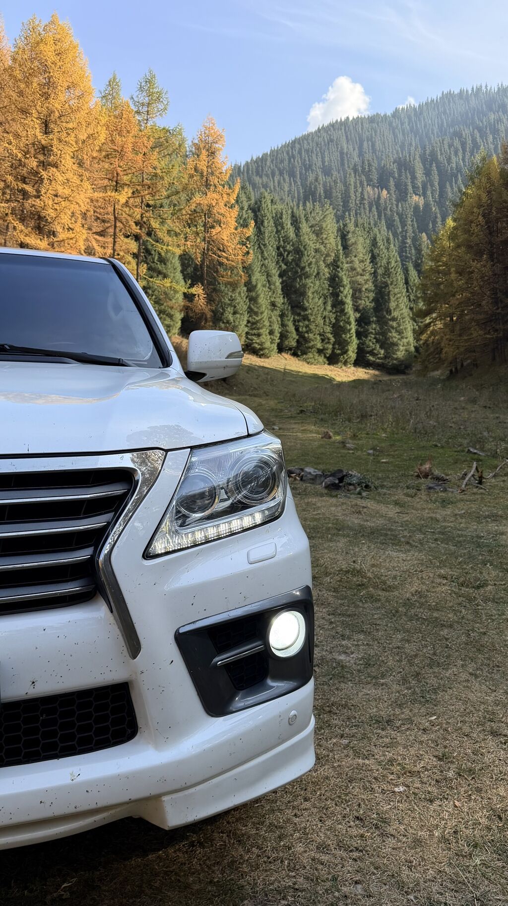 Lexus LX: 2013 г., 5.7 л, Автомат, Газ, Внедорожник: фото 4