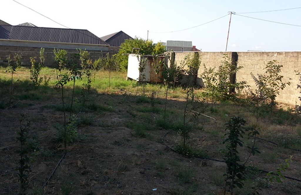 3 sot, Tikinti, Mülkiyyətçi, Kupça (Çıxarış)
